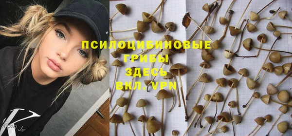 круглые Вяземский