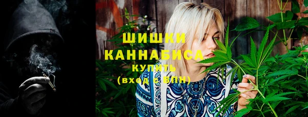 ПСИЛОЦИБИНОВЫЕ ГРИБЫ Тавда
