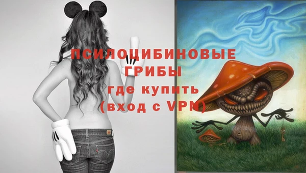 круглые Горно-Алтайск